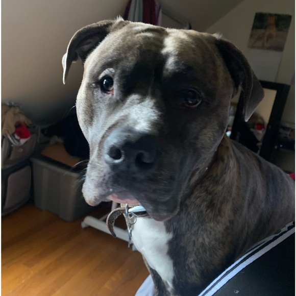 Meet me! - Picture 5 of 6